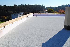 Thermowhite Flatroof Pic 04